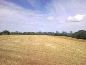 Saint-Nicodème 07