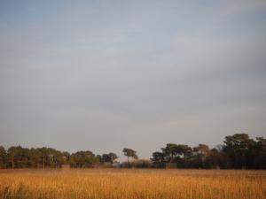 Paysage des erreurs, Riantec