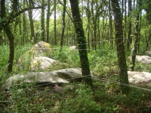 Menhir de Kerdaniel (proches environs)