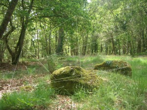 Menhir de Kerdaniel (proches environs)