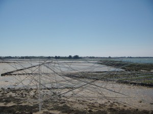 Locoal 05