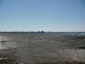 Locoal 05