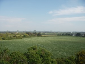 Arzon 03
