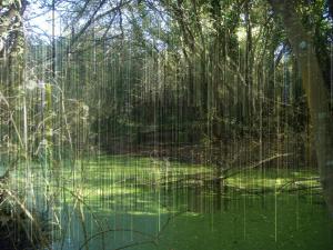 Paysage des erreurs, Erdeven 05